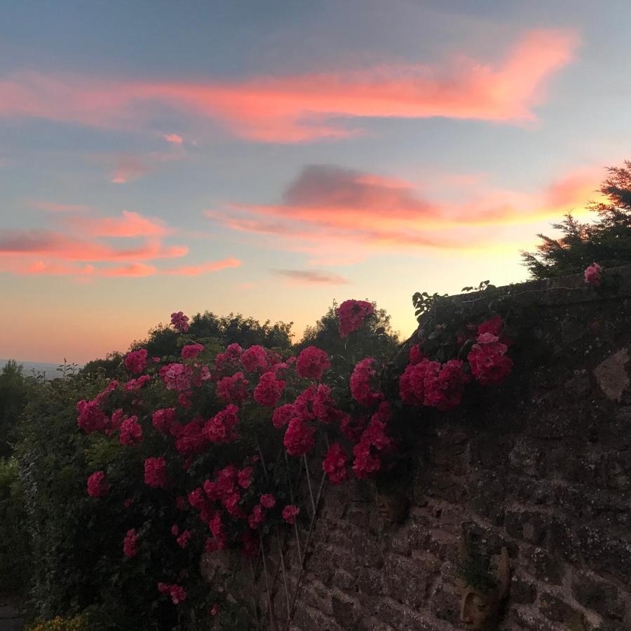 Appartamento In The Centre Of Shaftesbury Esterno foto
